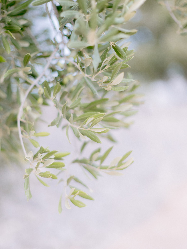 wedding-masseria-ayroldi-puglia-italia