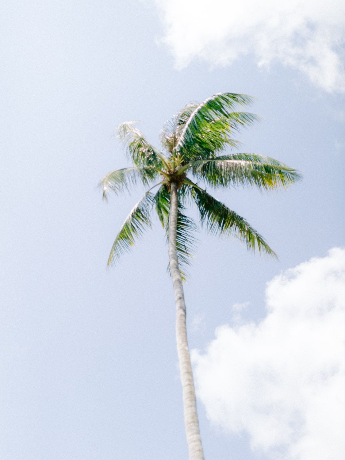 wedding-photographer-intercontinental-koh-samui-thailand